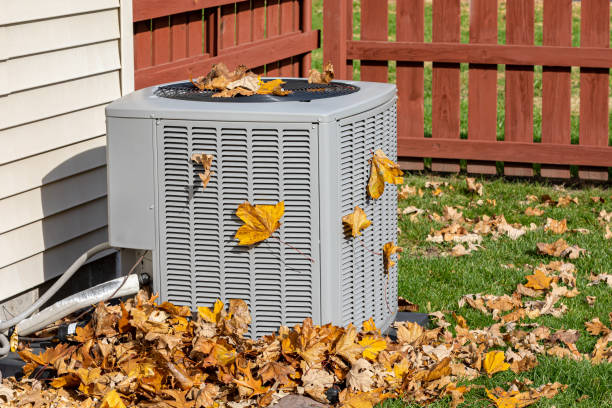 Best Air Filters and Purifiers in Clyde, NY